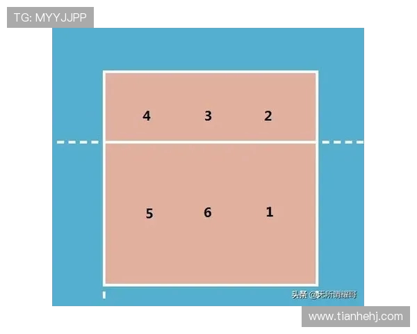 广州排球队引领最新排球技术十大趋势分析与发展前景探讨 广州排球队引领最新排球技术十大趋势分析与发展前景探讨