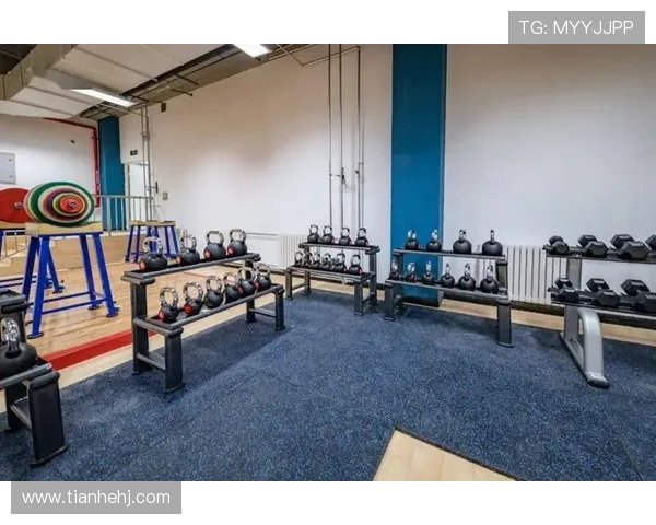 成都羽毛球队运营模式解析与发展前景探讨