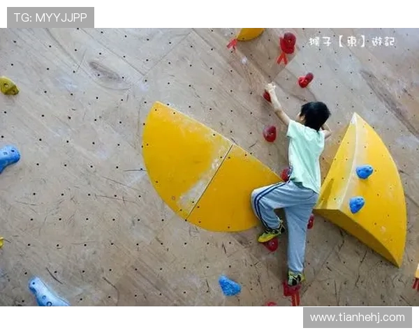 杭州攀岩队节奏之争引发热议运动员表现与教练策略的深度探讨