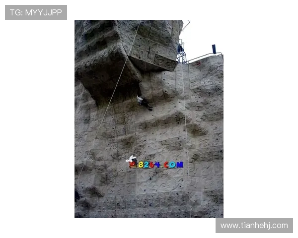 武汉攀岩队与杭州攀岩队技术对比分析赛后复盘