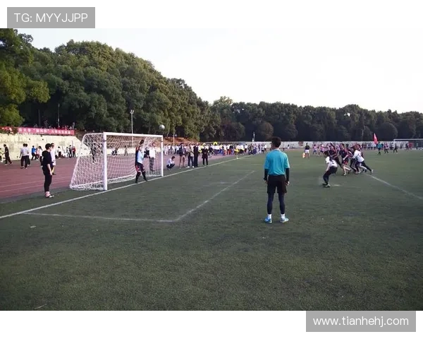 武汉足球队荣登足球速度排行榜第四名引发热议