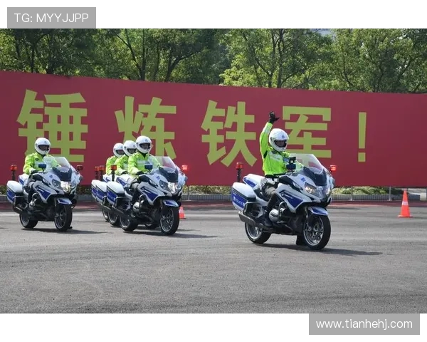 深入分析杭州飞盘队区域防守战术的独特魅力与实战应用