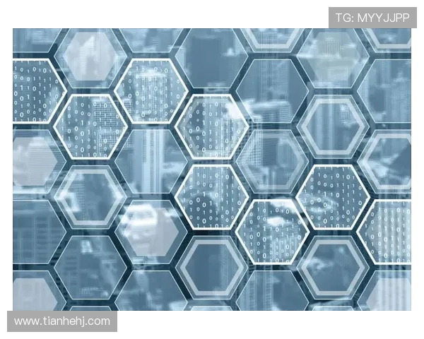 深圳攀岩队创历史新高力量排名再创新高峰引发关注