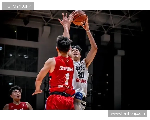 深圳篮球队实力强劲荣登篮球力量排行榜第十名