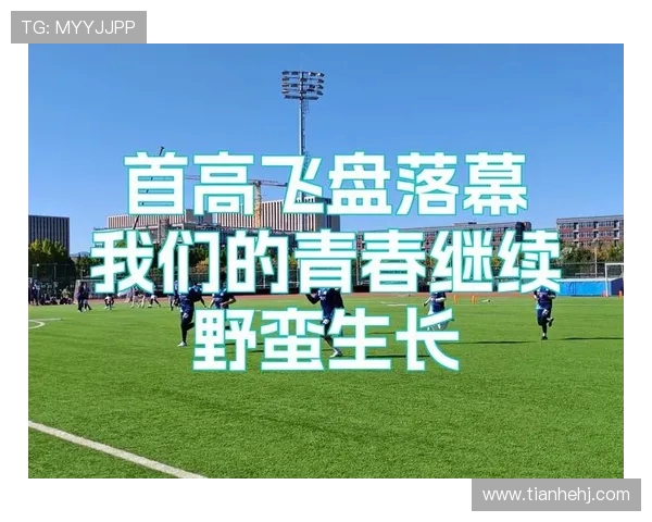 飞盘奇迹杭州队逆袭之路展现极限运动的激情与团结