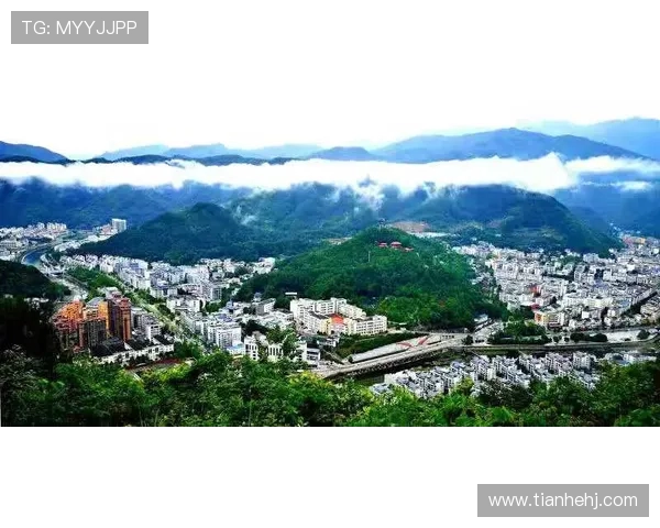 Natus Vincere战队再创绝地求生辉煌征程燃爆全球电竞舞台