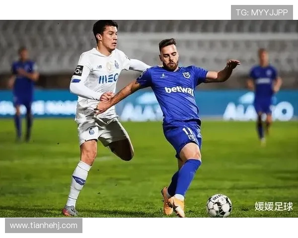 尼斯与甘冈历史交锋数据分析及比分回顾